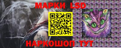 мяу мяу мука Шахты