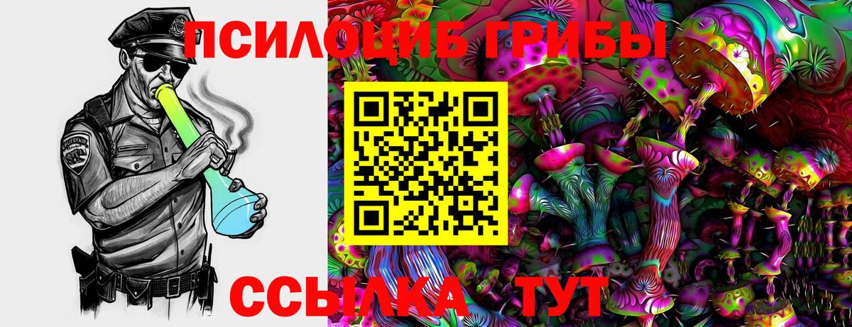 Псилоцибиновые грибы Magic Shrooms  Вход с VPN  Псилоцибиновые грибы мицелий  Курск 