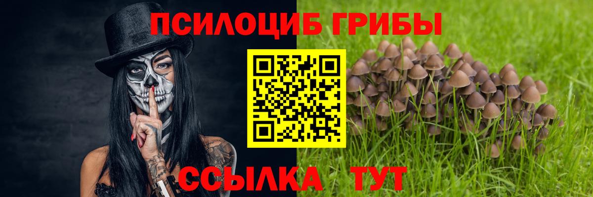 Псилоцибиновые грибы Magic Shrooms Курск