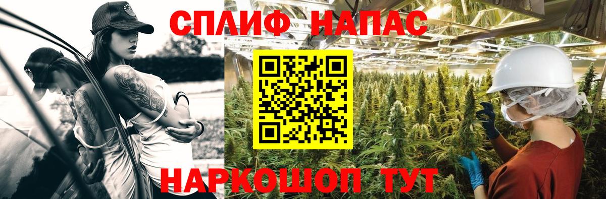 Бошки марихуана MAZAR  Марихуана план  Курск  Шишки марихуана Ganja 